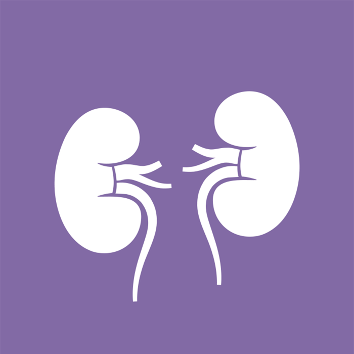 Venient Fx Renal Function Basic