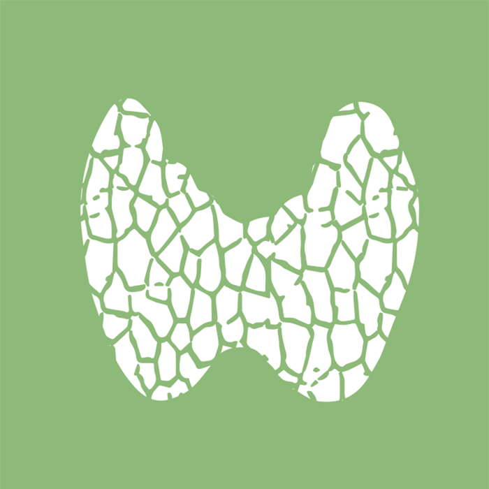 Venient Fx Thyroid Function Basic